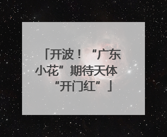 开波！“广东小花”期待天体“开门红”